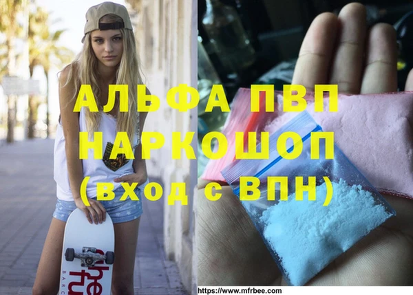 гидра Балахна