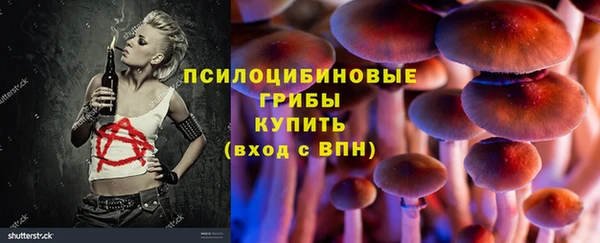 гидра Балахна