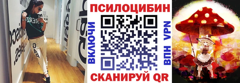 Купить закладки  Мурино  Псилоцибиновые грибы прущие грибы 